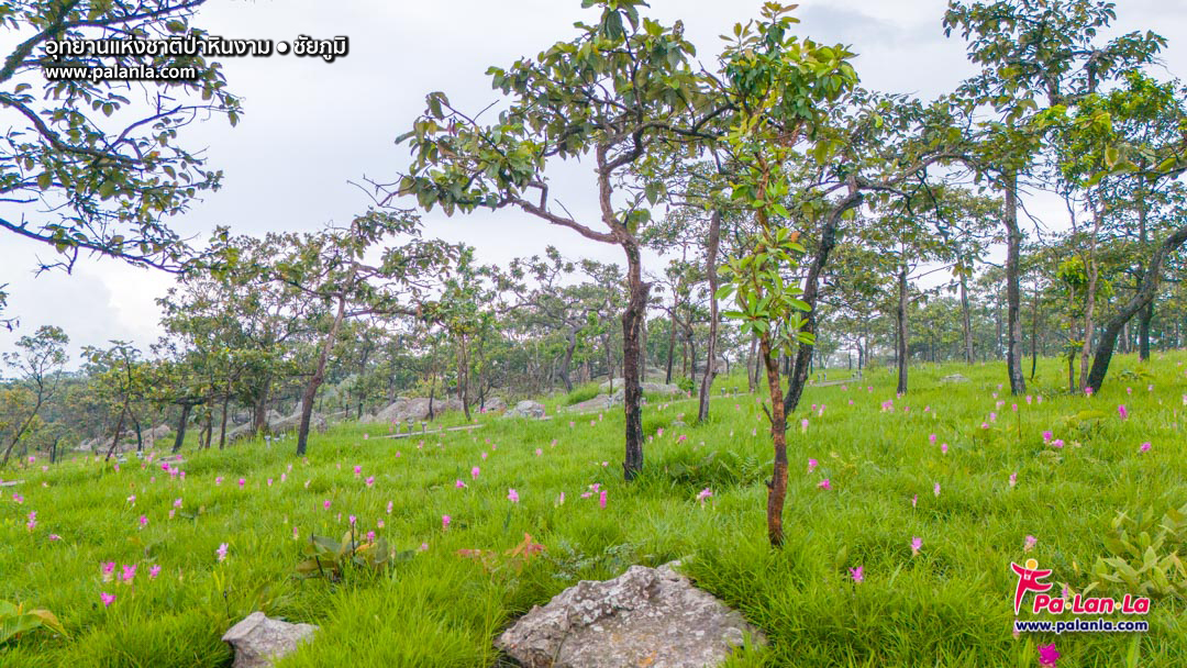 Pa Hin Ngam National Park